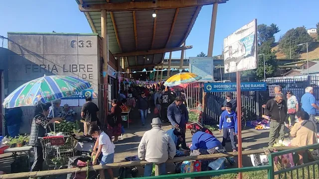 Ruta de las Ferias: sábado 10 de febrero - Feria Rahue Osorno