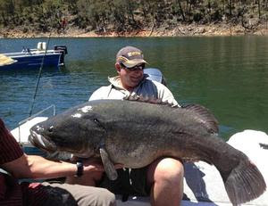 International Fishing News: AUSTRALIA: 100 pound murray cod