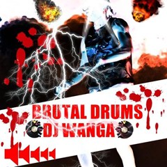 (House) DJ Wanga - Brutal Drumbeat (Just Follow) (2016)