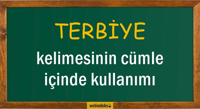 Terbiye İle İlgili Cümleler, Kısa Cümle İçinde Kullanımı