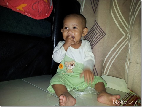 Harraz 2013