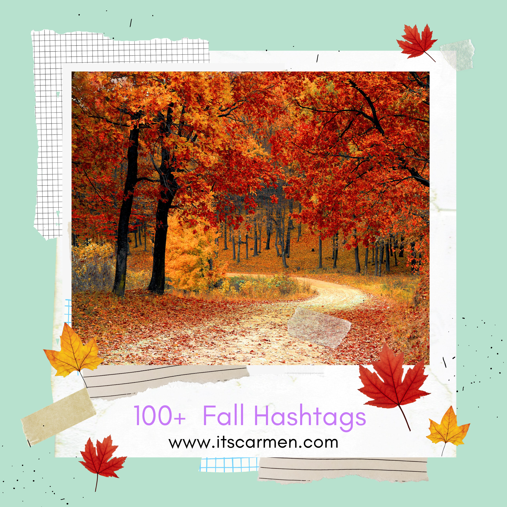 100+ Best Fall Hashtags to Use for Instagram, Instagram Reels, TikTok, and More