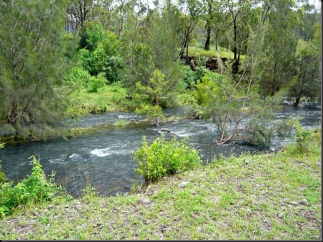 creek running