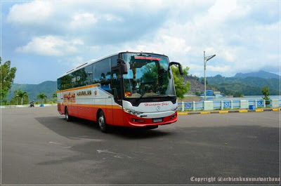 Mercedes benz OH 1836 ScorpionX PO Harapan Jaya