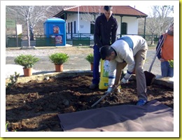 PARTERRE FERROCARRIL MINERO