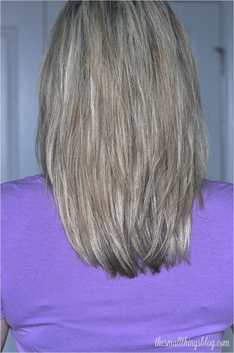Layered Haircuts For Long Hair Back View