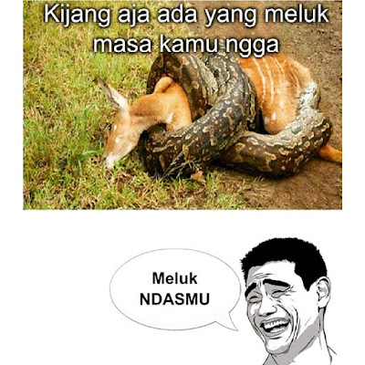 Gambar Lucu  Ndasmu Bahasa  Jawa  Humor Lucu  Banget