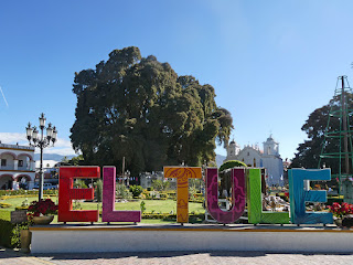 El Arbol del Tule - Oaxaca, Mexico (largest tree trunk)