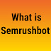  What is Semrushbot 