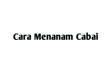 12 Cara Menanam Cabai Dari Biji Dalam Pot