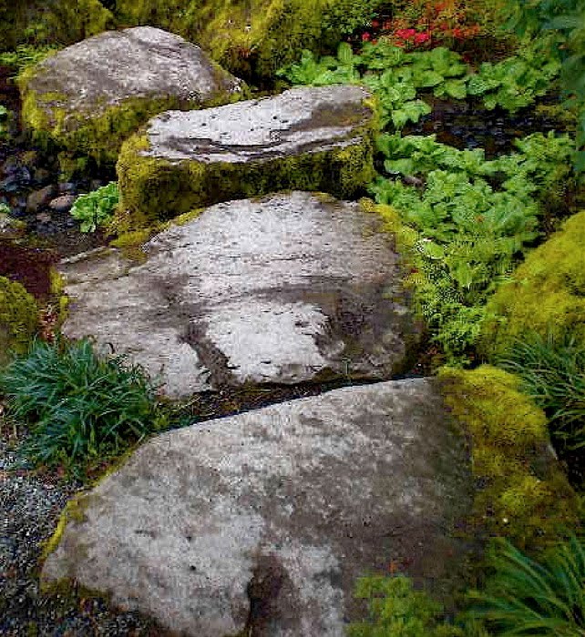 Landscaping Seattle Wa