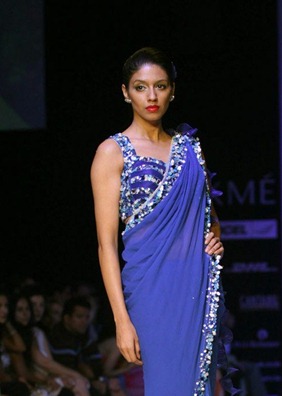 Day5 at LFS summer-resort 2011 by Satya Paul (13)
