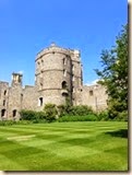 IMG_2941 IMG_2941