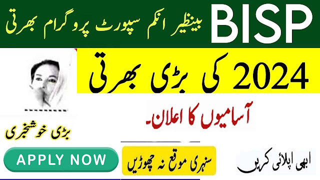 Benazir Income Support Programme BISP Latest Jobs 2024