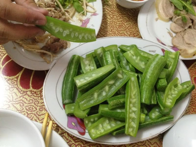 Hạt giống Lặc Lày (Mướp Mèo)