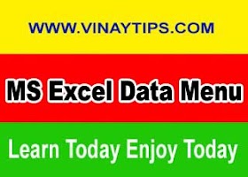 MS Excel Data Menu