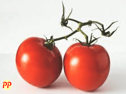 Harga Tomat per Kg di Berbagai Daerah dan Jenis-Jenisnya yang Populer untuk Masakan
