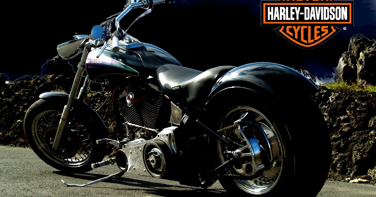  Harley Davidson Bikes HD Wallpapers Free Download Harley 