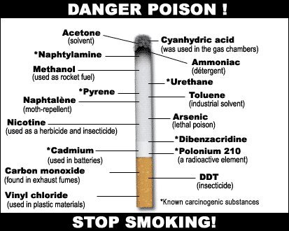 Contoh karya tulis ilmiah tentang bahaya merokok