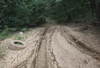 Mud trail deep ruts in forest four wheeling 