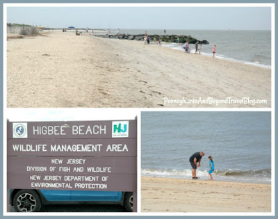 Higbee Beach in Cape May New Jersey