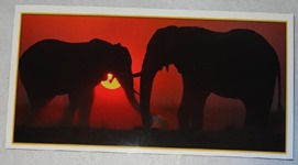 221 11-carte postale