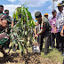 TMMD, Tim Pengawas  Tanam Pohon Mangga Di Depan TK Pertiwi  