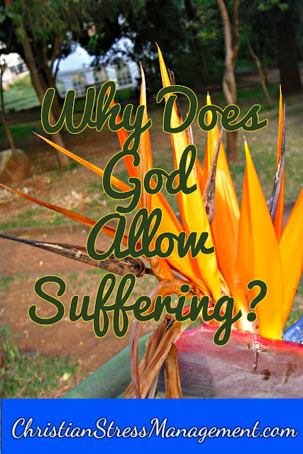 Why does God allow suffering?