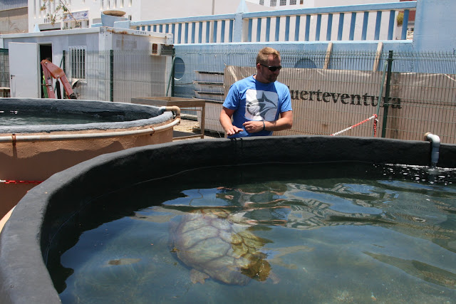 Meeresschildkröten Aufzuchtstation Fuerteventura 04