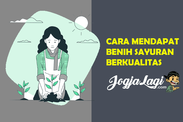 Cara Mendapatkan Benih Bermutu Berkualitas