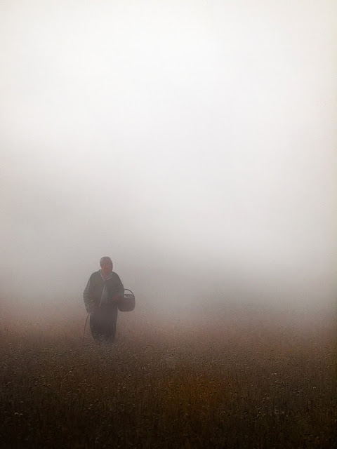 Seeker in the fog