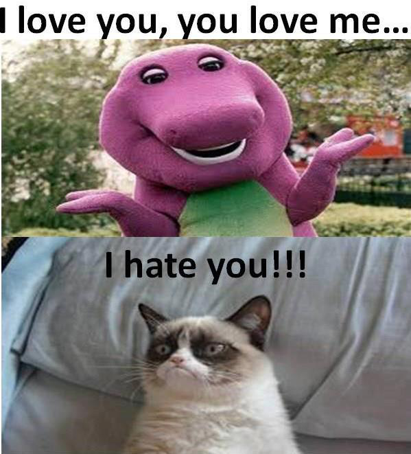 I Love You Grumpy Cat Meme