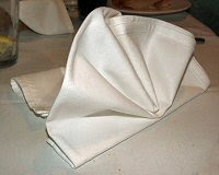 Folded napkin