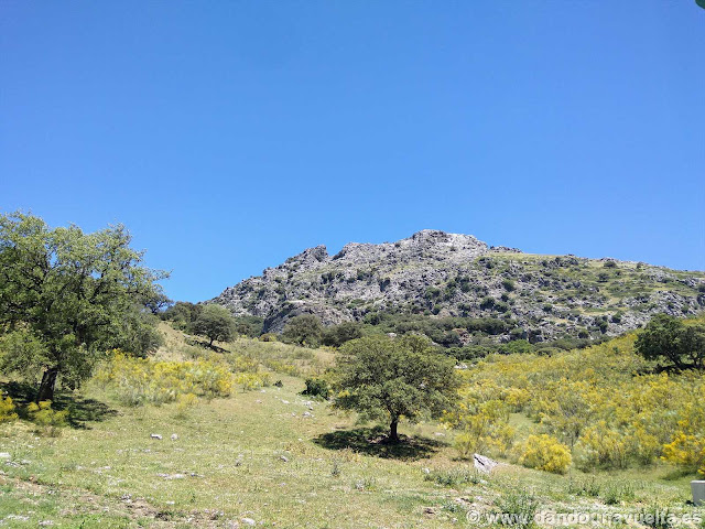 Peñón de Algámitas desde la pista forestal