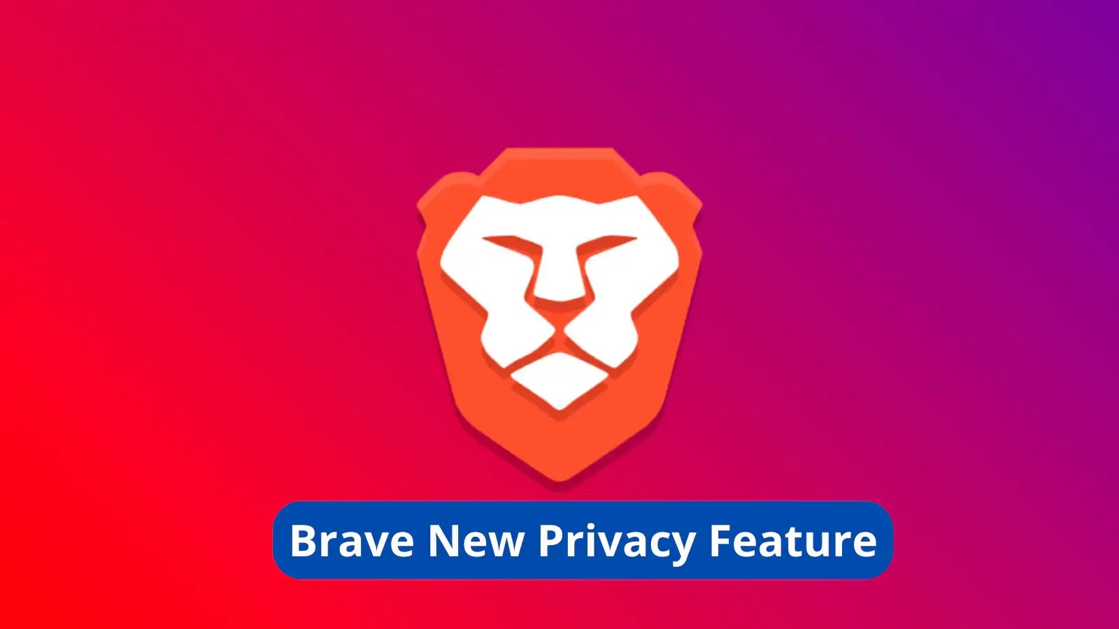 Brave New Privacy Feature