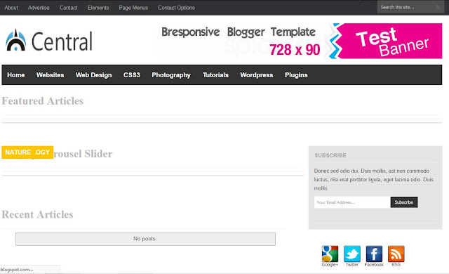 Download  Website Template For Free