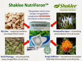  Nutriferon Shaklee