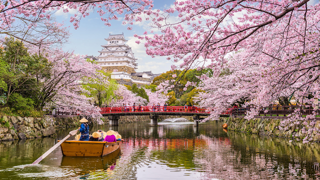 10 Hal yang Wajib Dilakukan Selama Musim Semi di Jepang! (Part 2)