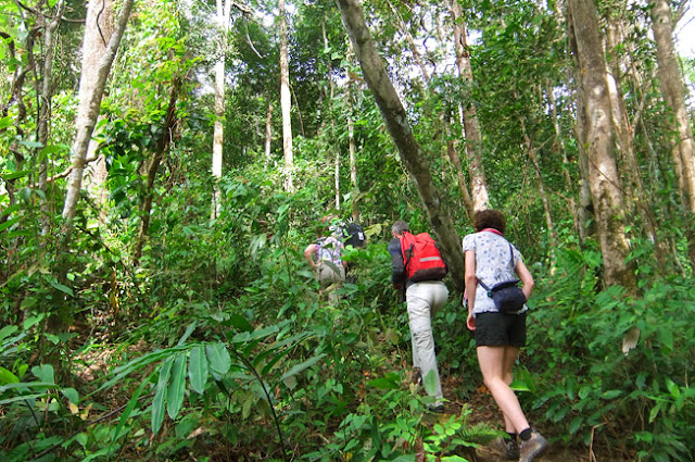 trekking at Bokor