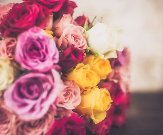 The TOP 7 Most Romantic Flowers For Girls