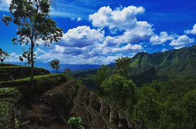 Gunung Beruk