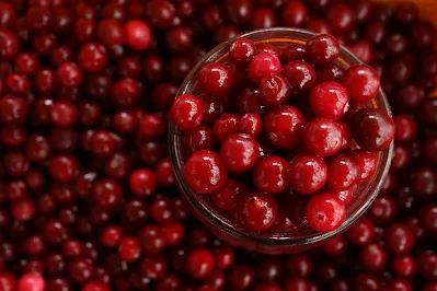 Cranberries are a type of fruit that grow on small, evergreen shrubs in boggy areas in the northern hemisphere. They are native to North America, but are also grown in other parts of the world, including Europe and Asia.