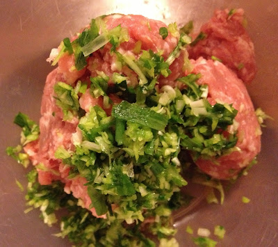 pork mince spring onions