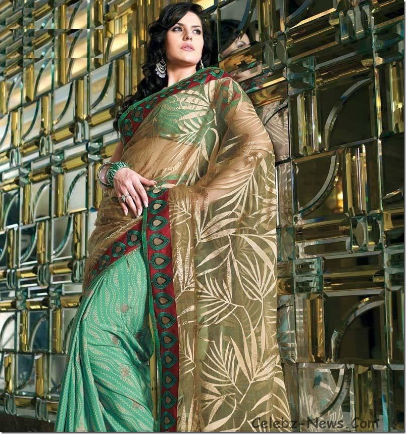 zarine-khan-saree-3