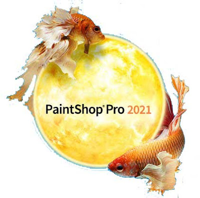 ما هو الجديد في برنامج PaintShop Pro 2021 Ultimate