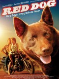 Ver Red Dog (2011) Audio Subtitulado