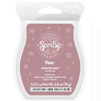 Scentsy bar