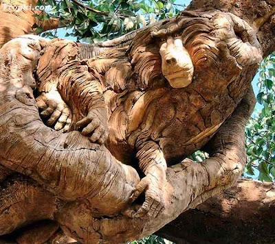 Amazing  , But True.  Tree Art.