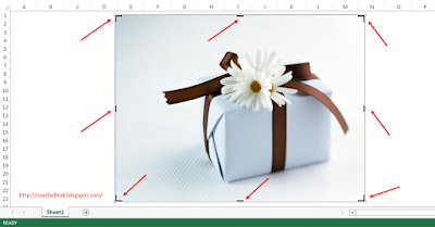 Cara Memotong Gambar Crop Picture di Excel