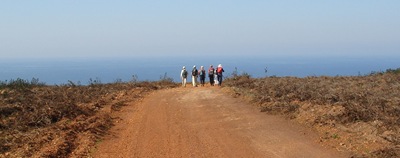 AWW Into the Blue Yonder